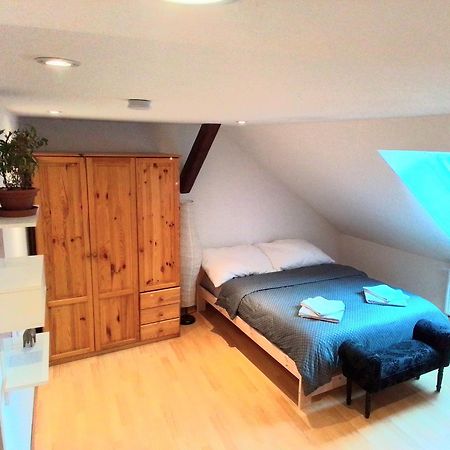 Apartman Penelope Zatec  Luaran gambar