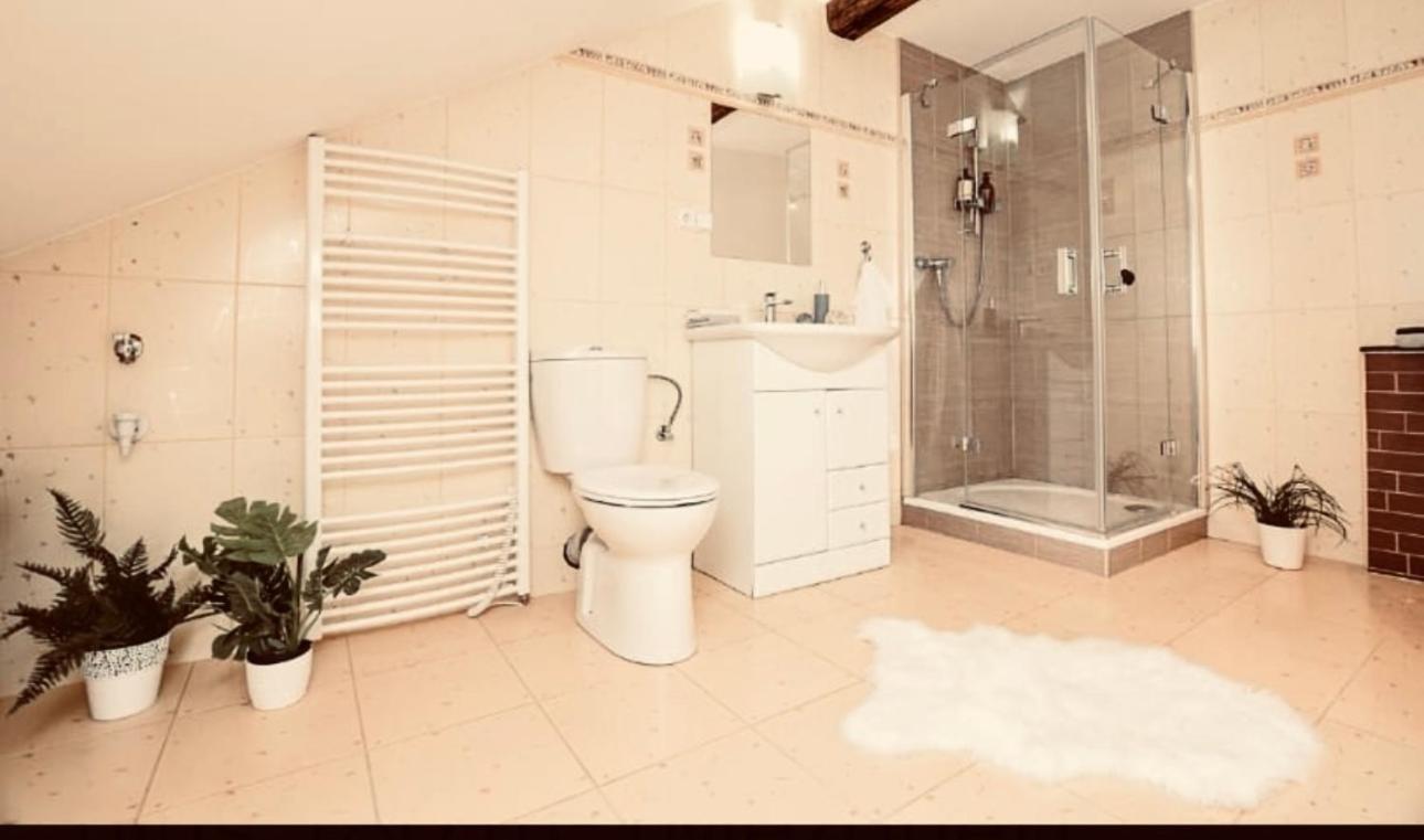 Apartman Penelope Zatec  Luaran gambar